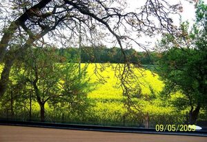 Ferienwohnung Zum Walnussbaum