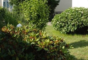 Ferienobjekt Lausitz Sehn – Ferienwohnung Lausitz Sehn I