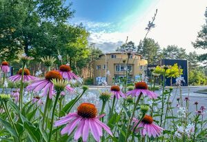 Familienpark Senftenberger See – Komfort-Appartement für 2 Personen