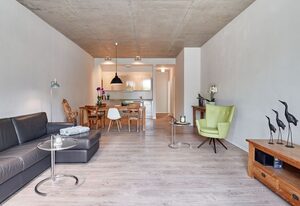 Loft-Apartment 01