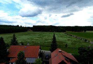 Spreewaldferienwohnungen Stein - Ferienhaus Greschow