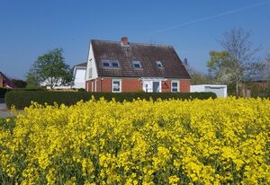 Ferienhaus Am Feld, Whg. "Gerste"