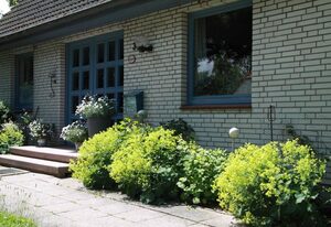 Ferienwohnung weißes Haus