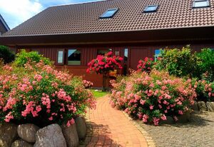 Ferienwohnung Baumgarn