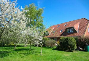 Ferienhof  Böhnke Nr.3