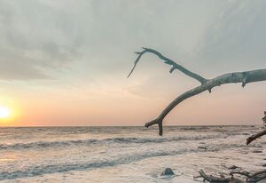 Meeresrauschen - direkt am Meer