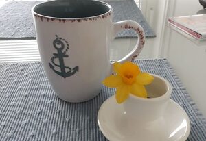 Singlefewo Seemöwe für 1 Person