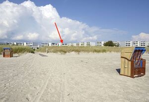 Strandhafer - Meerblick