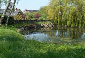Ferienhof Bisdorf "Steilküste"