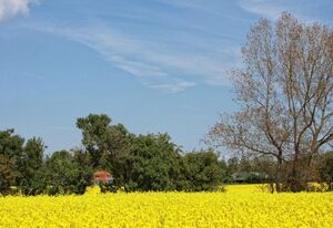 Ferienhof Augustenhöhe – Lange Reihe Whg. 16