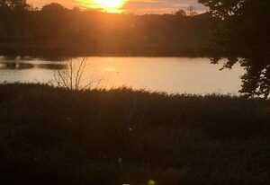 Zeesenhaus 5 im Ferienpark Seedorf mit Seeblick