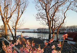 FEWO Boddenblick-Vilm
