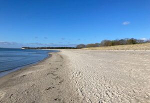 Dünenhaus in Toplage, 4 Fußminuten zum Südstrand mit Blick über Hügellandschaft zur Ostsee, Schwimmbadnutzung inklusive