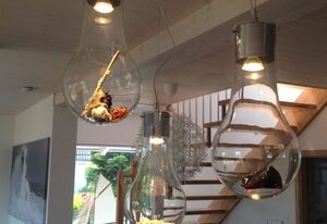 Ferienhaus Marianne