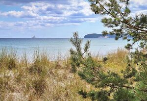 Haus Stubnitz Binz-Prora – Hochwertige Ferienwohnung mit Balkon zur Meerseite und inkl. Saisonstrandkorb!