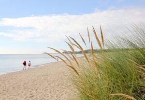 Strandhaus Mönchgut – strandnahe Ferienwohnung mit eigener Terrasse - Strandhaus Mönchgut FeWo 02