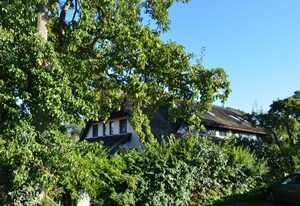 Großes Reethaus "Sanddorn"