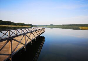 Bungalow am See – Appartement Seeblick