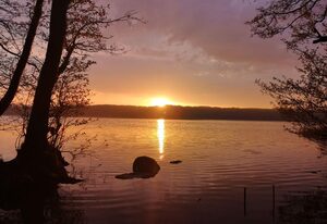 Bungalow am See – Appartement Seeblick