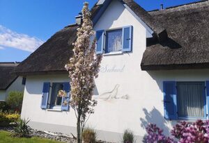 Ferienhaus Seehund