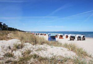 Dünenresort Binz – strandnahe, schicke Ferienwohnung mit Balkon direkt in Binz - Dünenresort 1.1.2