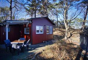 Dünenchalet 49 – Strandnaher Ferienbungalow mit Terrasse - Chalet Ostsee Nr. 49