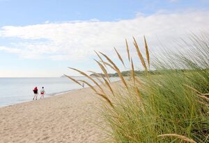 FeWo Teschenberg – naturnah, mit Terrasse, Garten und Meerblick - Ferienwohnung auf dem Teschenberg