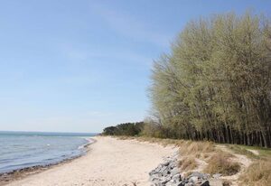 Ferienhaus De niege Wech – Schicke FeWo mit Terrasse, Schwimmbad&Sauna gratis - Haus De niege Wech FeWo 01