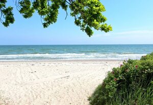Rex Rugia – strandnahe FeWo mit Balkon, Schwimmbad- und Saunanutzung - Rex Rugia H-1010
