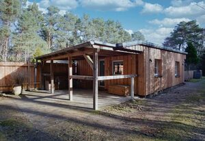 Ferienhaus Waldidyll