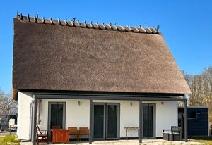 Ferienhaus Brise in der Puddeminer Wiek – Urlaub mit Hund im Ferienhaus Brise im Süden der Insel Rügen