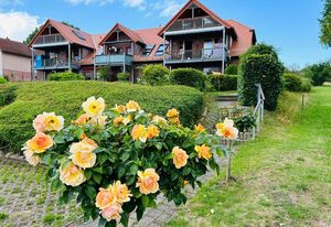 Ferienwohnung Alice mit Balkon und Meerblick – Ferienwohnung „Alice“ – Licht, Weite & Wasserblick auf die Insel Vilm