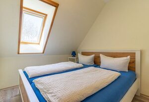 Pferdehof Königsstuhl - Fewo 5 Friese – Ferien auf dem Reiterhof - Wohnung Friese