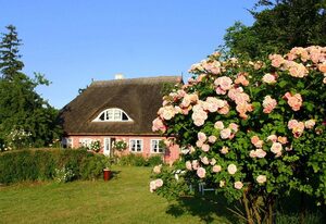 Im Feriengarten - Ferienwohnung EG