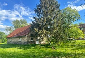 Ferienwohnung Alvine – Dubnitz bei Sassnitz - Doppelhaushälfte Alwine