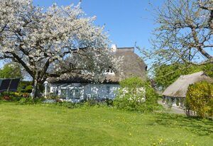 Im Feriengarten -Ferienwohnung im DG