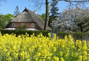 Im Feriengarten -Ferienwohnung im DG