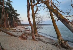 Ferienhaus zum Kranichblick - für Familien + Hund – Zum Kranichblick: Erholsame Auszeit für die ganze Familie – mit Platz für Hunde