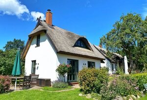 Groß Stresow - Irmi´s Kate - Ferienhaus und Doppelhaushälfte mit großem Garten
