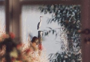 Atelierhaus am Bodden FeWo B (unten)
