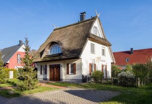 Orchidee in Glowe