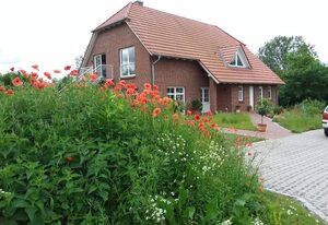 Schwalbennest