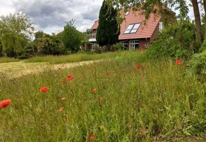 Schwalbennest