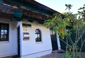 Haus Strandflieder
