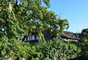 Haus Strandhafer