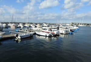 Ostseestern