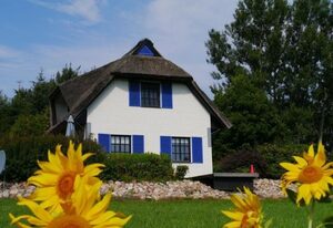 Haus-Zauberblau