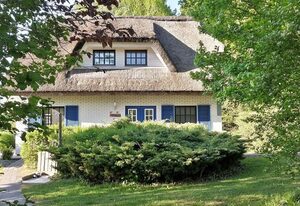 Haus-Zauberblau