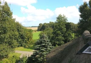 Idyllisches Reetdachhaus mit großem Garten