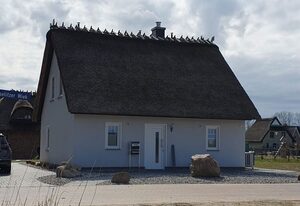 Reetdachhaus, Haus Hannes in Mellnitz